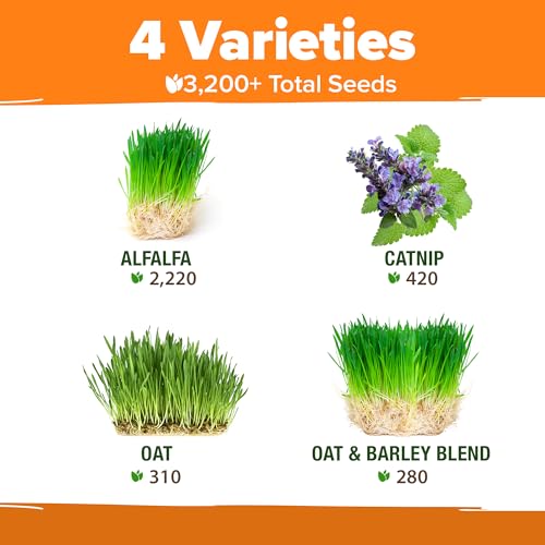 Indoor Cat Grass Refill 3