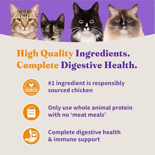 Holistic Dry Cat Food