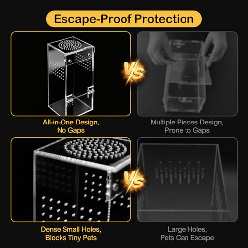 Jumping Spider Enclosure Starter Kit (Blue / Small)
