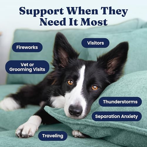 Calming Chews for Dogs with Melatonin for Storms & Travel (60 Count)