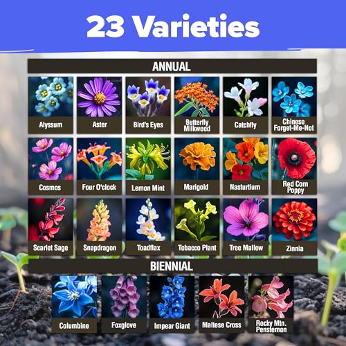 Premium Wildflower Seeds Bulk Mix