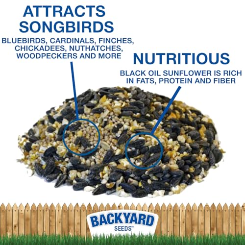 Backyard Seeds 50LB Songbird Blend Bird Seed (Songbird Blend / 50 Pound (Pack of 1))