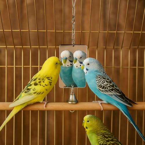 Acrylic Bird Mirror for Small Birds (3.14''W * 4.72''H)