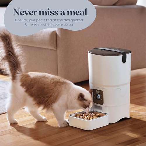 Smart Automatic Cat Feeder (White)