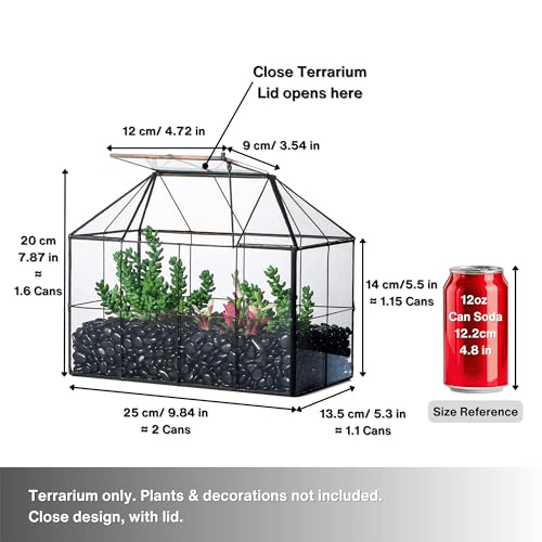 Glass Terrarium Planter with Lid for Small Succulent Plants