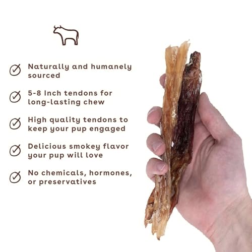 Beef Tendons for Dogs & Puppies (1 Ounce (Pack of 10) / Standard)