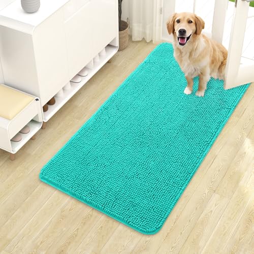 Dog Door Mat for Muddy Paws 40x24 (Teal / 40" X 24")