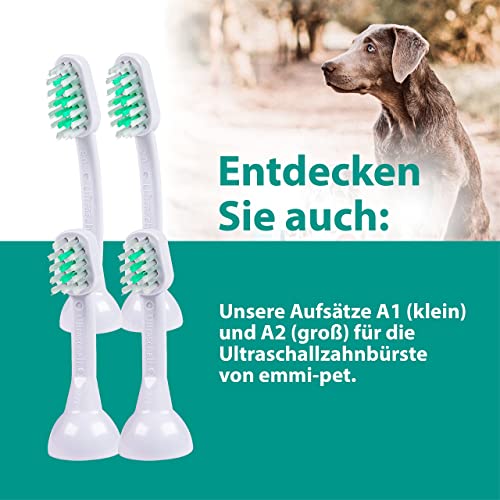 Ultrasonic Toothpaste with Nano (2.5 Fl Oz (Pack of 1))