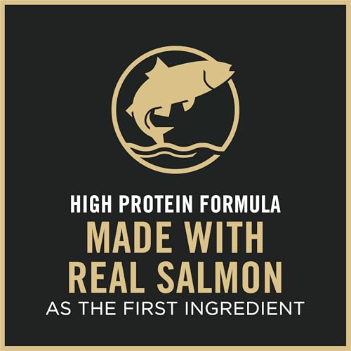 High Protein Dry Cat Food (3.5 Pound (Pack of 1))