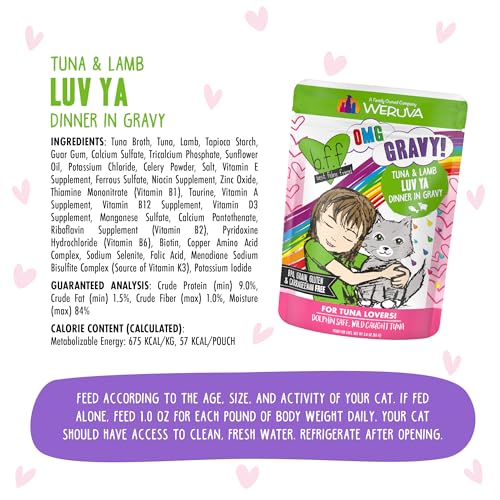 B.F.F. OMG Best Feline Friend Oh My Gravy! (3 Ounce (Pack of 12))