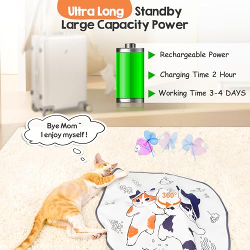 Cat Toys for Indoor Cats