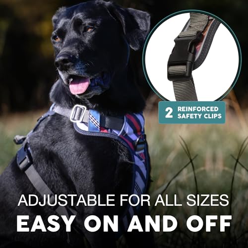 Embark No Pull Dog Harness (XS / Maverick)