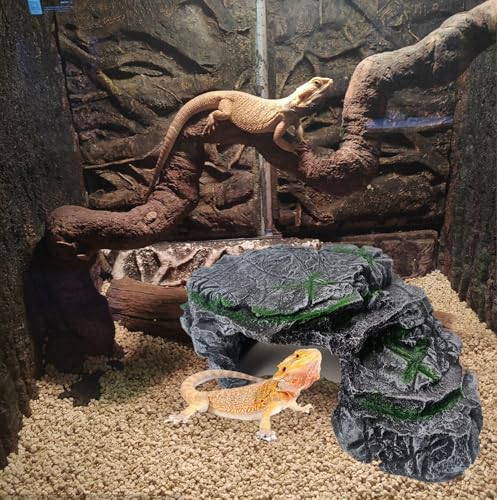 Turtle Basking Platform (hideout)