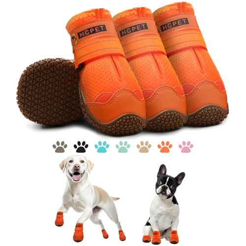 Dog Shoes for Dogs (Orange / Width 2.16 in)