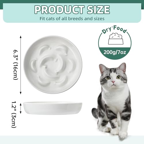 Ceramic Slow Feeder Cat Bowl (White / 1.2"H Standard)