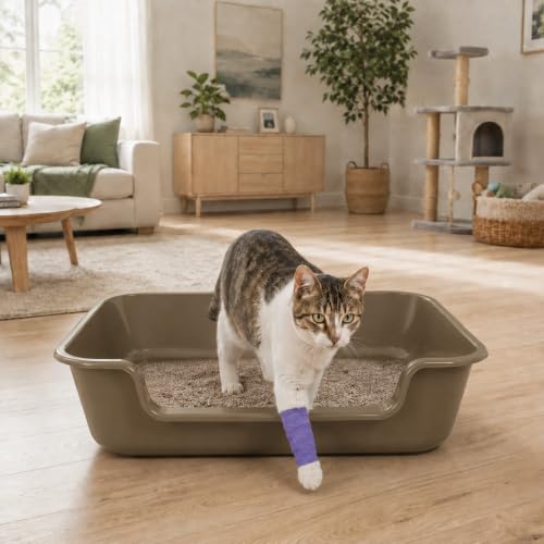 Extra Large Low Entry ABS Cat Litter Box (Large (Pack of 2) / Brown)