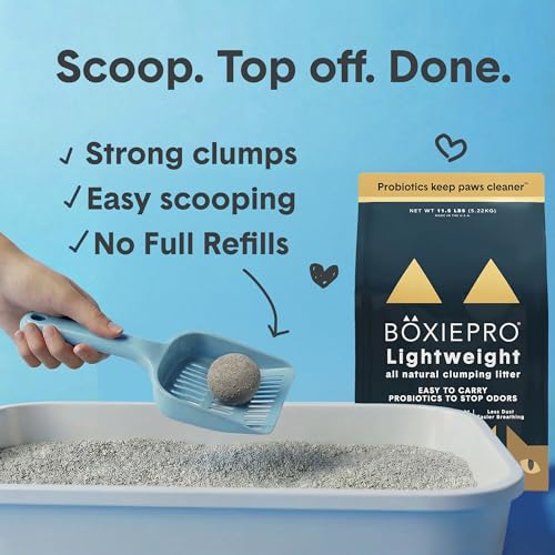 Boxie Probiotic Natural Lightweight Cat Litter 40+ Day Odor Control 11.5 lb (11.5 lb)