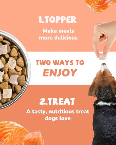 Freeze Dried Salmon Dog Treats