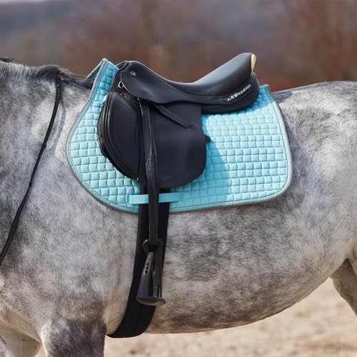 Adepto Padded All Purpose Quilted Equestrian Saddle Pad for Horses with Two (Canal Blue / Horse)