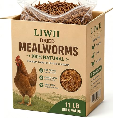 Dried Mealworms