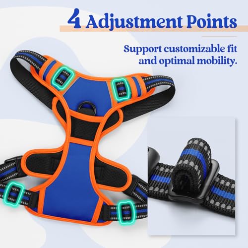 Dog Harness No Pull Medium Sized with 2 Leash Clips (Medium / Blue & Orange)