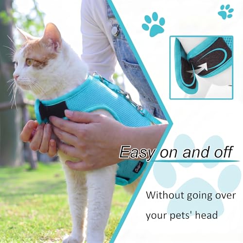 Cat Harness and Leash Set for Walking Escape Proof (Turquoise / XL 11-20 lbs)