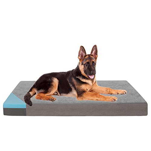 Orthopedic Memory Foam Dog Bed for Large Dogs (Short Plush / XX-Large-47"x 29" x 3.5")