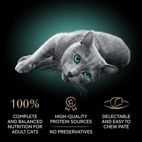 Perfect Portions Pate Wet Cat Food (24 Count (Pack of 1))