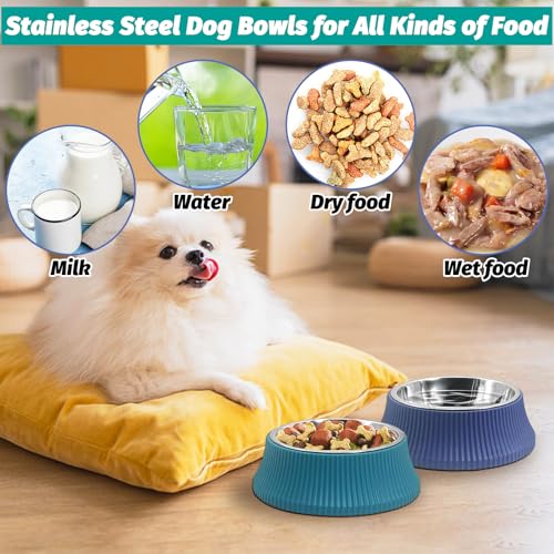 2PCS Stainless Steel Dog Bowls Set Removable no tip Puppy Food and Water Feeder Bowl Basic Metal Small Dog Bowls for Dogs Cats Rabbit Guinea Pigs Ferret (2 PCS / Roman Column (Blue, Green))