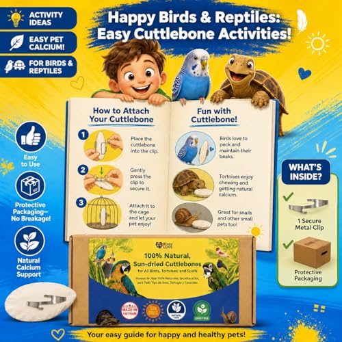 5.5 6″ Cuttlebone for Birds (2 Count (Pack of 1))