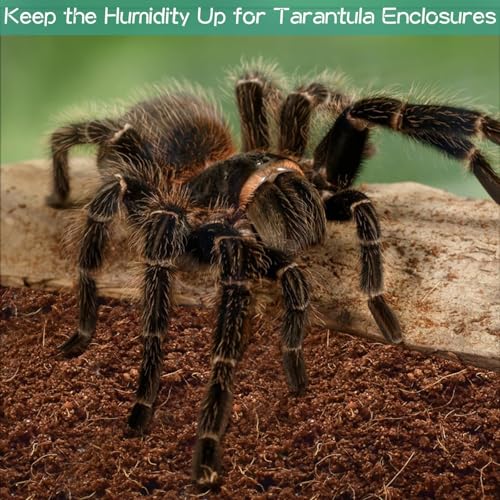 8 Pack Compressed Coconut Fiber Substrate for Reptiles (8 pack)