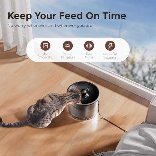 Automatic Cat Feeder 5G WiFi and Water Dispenser