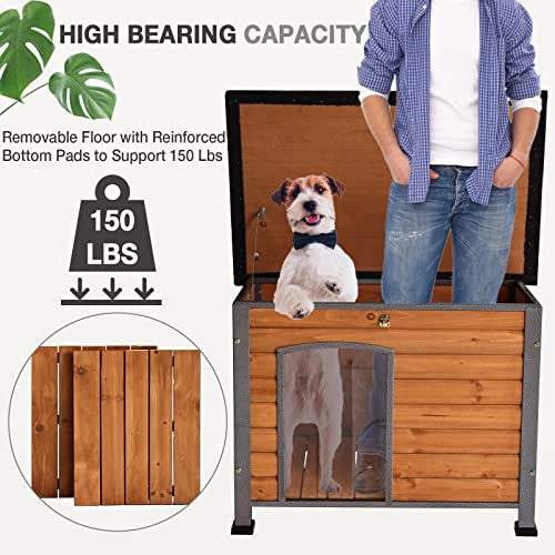 Wooden Dog House Outdoor with Iron Frame (Dog House)