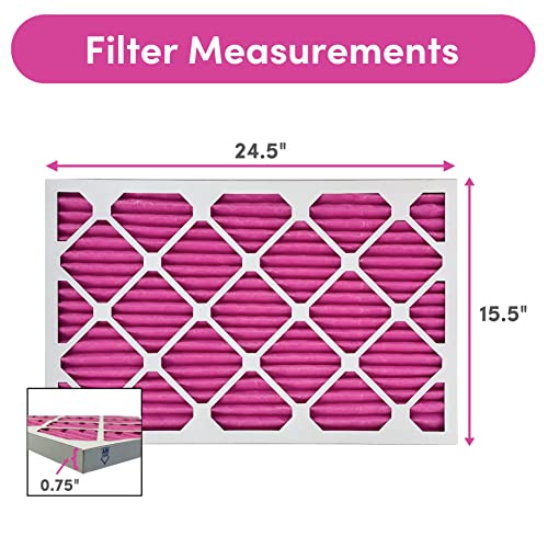 16x25x1 Air Filter (2-Pack / 16" x 25" x 1")