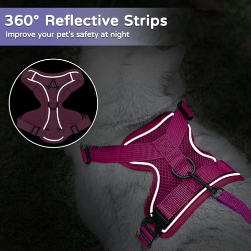 Vest Harness Leash Set for Small Dog Large Cat (Pink / XL)