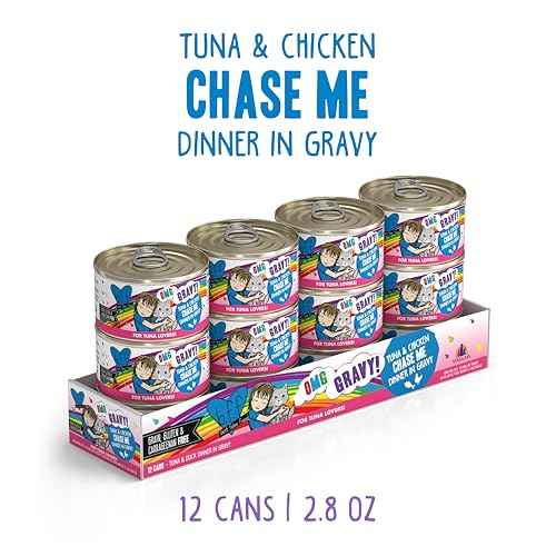 B.F.F. OMG Best Feline Friend Oh My Gravy! (2.8 Ounce (Pack of 12))
