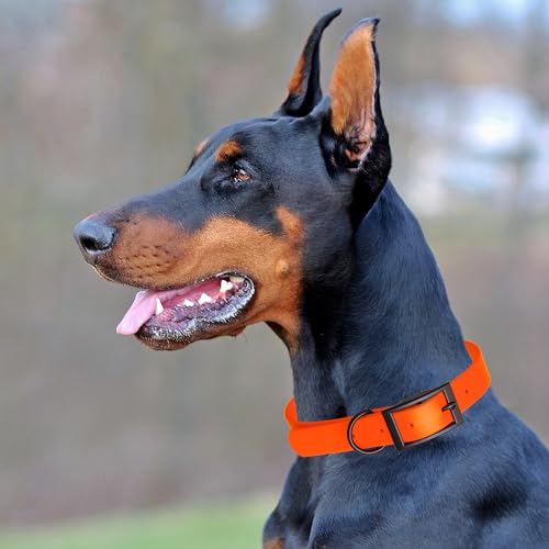Biothane Waterproof Dog Collar Strong Coated Nylon Webbing with Black Hardware Odor (W1" x L22"-25" / Hunter Orange)