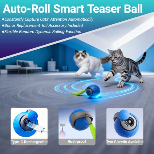 Interactive Cat Toy (8-Shape)