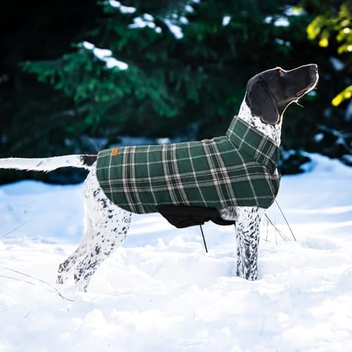 Waterproof Dog Coat (Green / 2X-Large (Pack of 1))