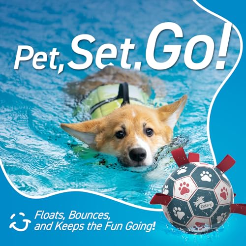 Dog Balls 6 Inch Dog Soccer Ball with Straps (Red-Blue / Medium Size 2 (6 Inch))