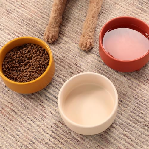 Uplift Elevated Ceramic Dog Bowl (Small / Buttercream)