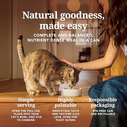Canned Grain Free High (6 Ounce (Pack of 12))