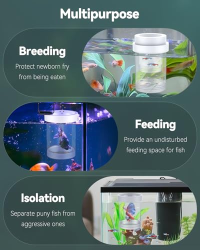 Breeder Box for Fish Tank (Medium)