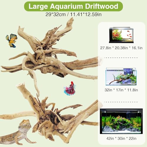 Natural Driftwood for Aquarium (Spiderwood（7-13 inch pack of 2）)