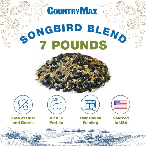 Backyard Seeds 7LB Songbird Blend Bird Seed (Songbird Blend / 7 Pound (Pack of 1))