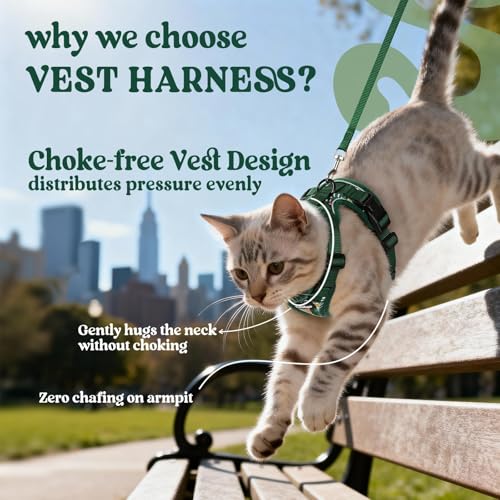 Cat Harness and Leash Set (Xxs / Rainforest Green)