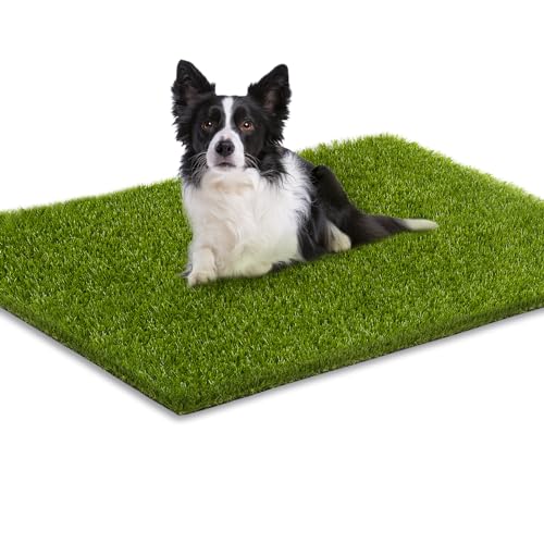 Professional Fake Grass for Dogs (36" x 24")
