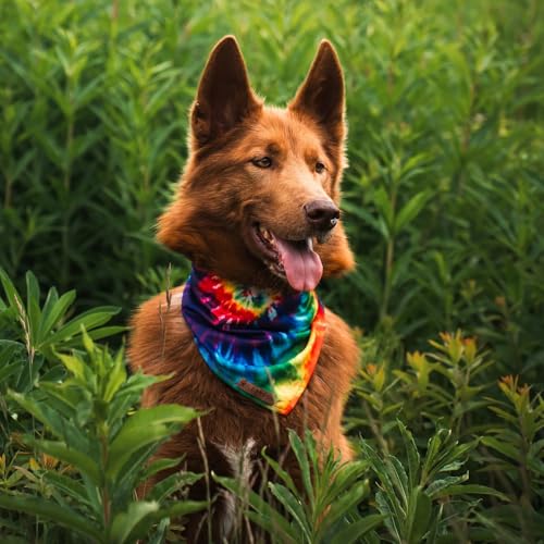 Dog Bandana with Lightweight Quick Drying Poly (Tiedye)