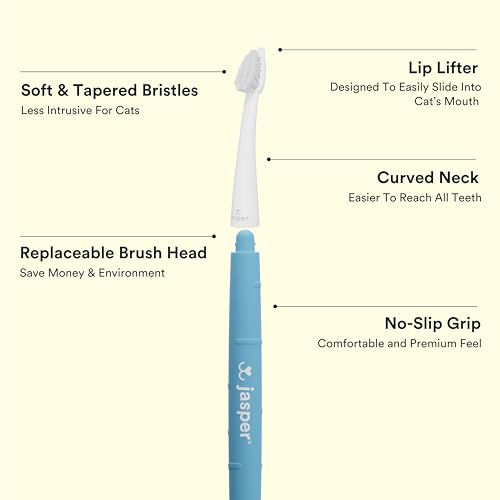 Microbrush Vet Approved Cat Toothbrush (Blue 4 Pack)