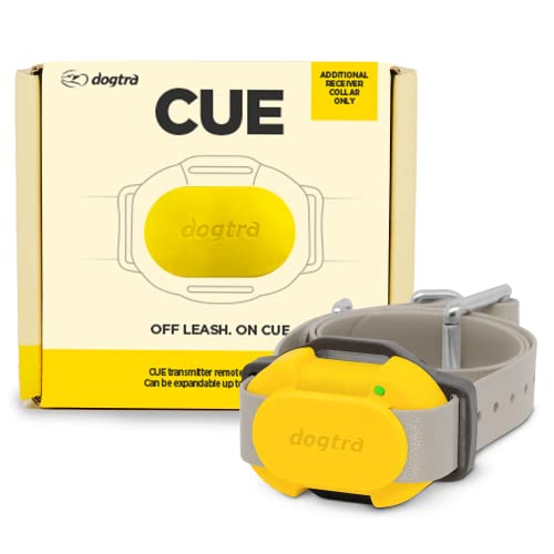 CUE Add On Yellow Ecollar with Safety Level Lock Boost Vibration Waterproof Rechargeable for Small Medium Large Dogs Dog Training Collar by Dogtra (CUE Receiver Only - Yellow)